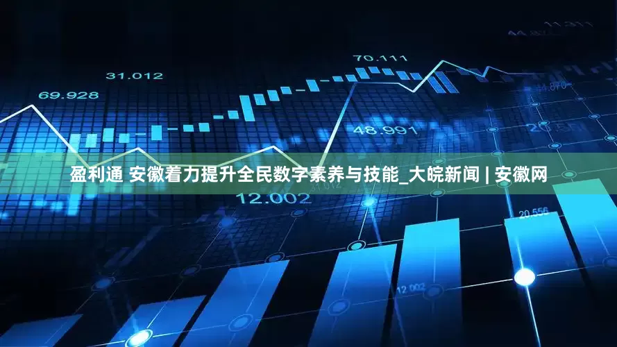 盈利通 安徽着力提升全民数字素养与技能_大皖新闻 | 安徽网