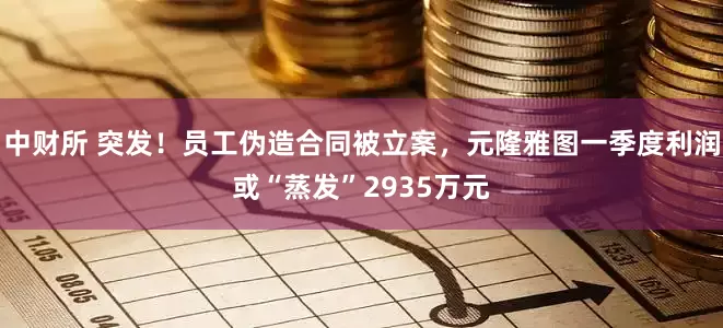 中财所 突发！员工伪造合同被立案，元隆雅图一季度利润或“蒸发”2935万元