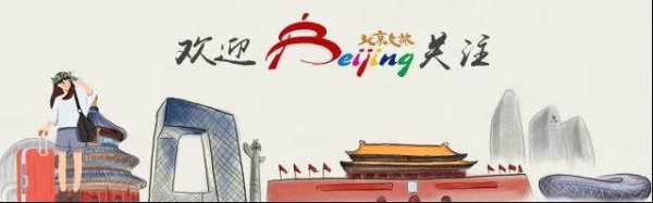 天平配资 一眼心动！周末邂逅北京芦花漫舞，超有秋日feel~