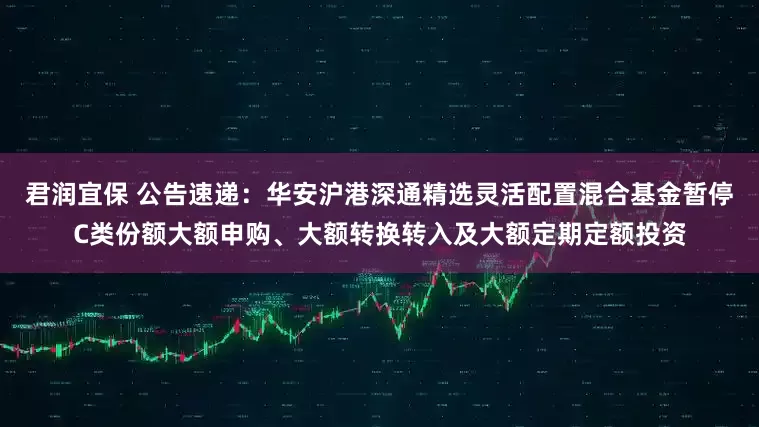 君润宜保 公告速递：华安沪港深通精选灵活配置混合基金暂停C类份额大额申购、大额转换转入及大额定期定额投资