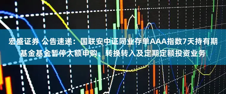 宏盛证券 公告速递：国联安中证同业存单AAA指数7天持有期基金基金暂停大额申购、转换转入及定期定额投资业务