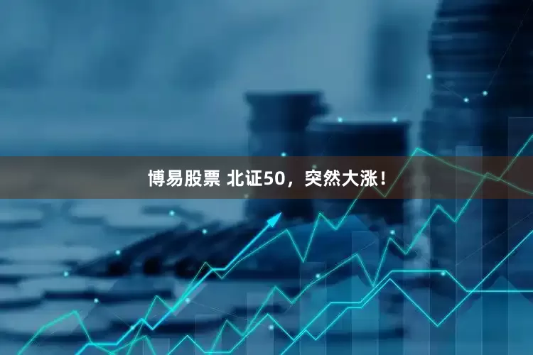 博易股票 北证50，突然大涨！
